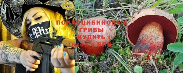 спайс Алексин