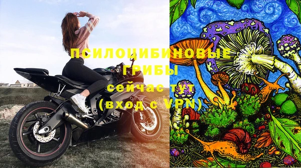 ECSTASY Абинск