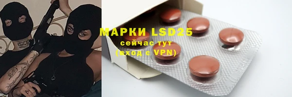 прущие грибы Алексеевка