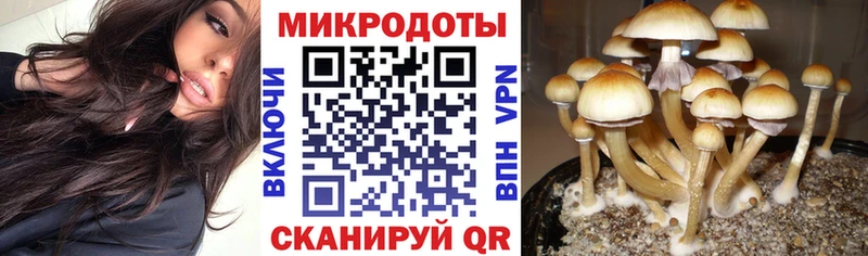 Псилоцибиновые грибы ЛСД  блэк спрут вход  Лосино-Петровский 